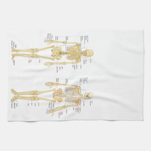Human Skeleton labelled anatomy chart Tea Towel