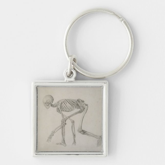 Human Skeleton: Lateral view in Crouching Posture, Key Ring (Front)