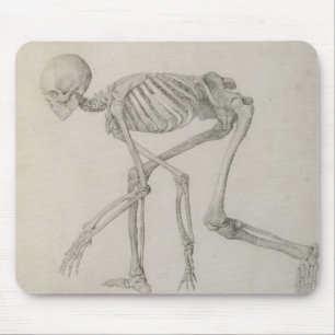 Human Skeleton: Lateral view in Crouching Posture, Mouse Pad
