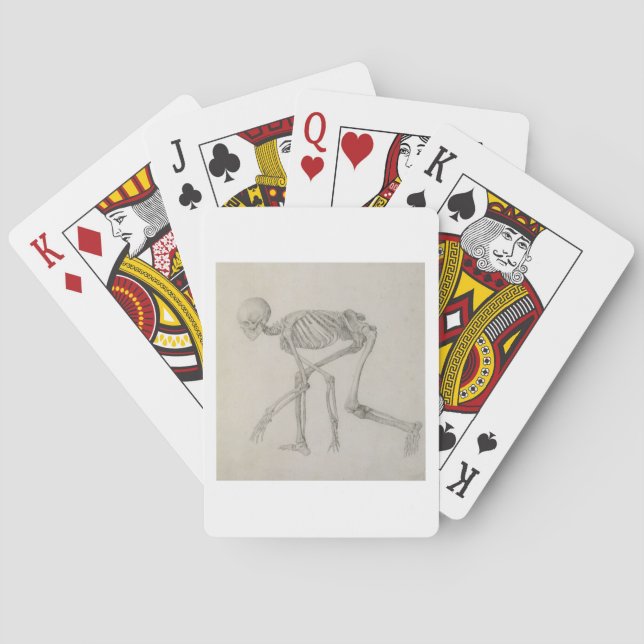 Human Skeleton: Lateral view in Crouching Posture, Playing Cards (Back)