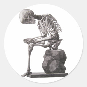 Human Skeleton Sitting Anatomy Art Classic Round Sticker