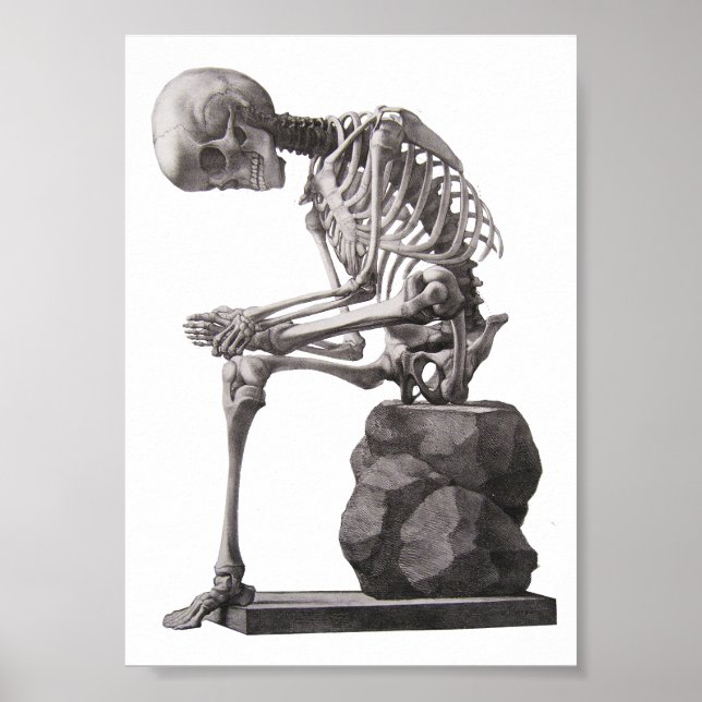 Human Skeleton Sitting Anatomy science Art Poster (Front)
