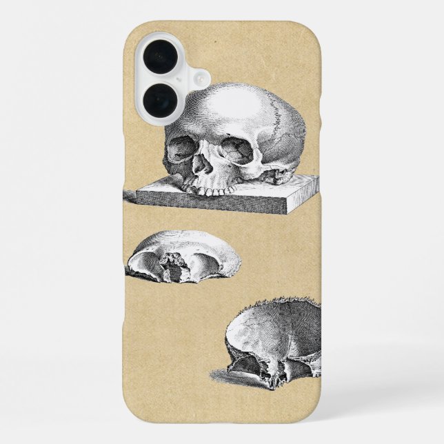 Human Skull Anatomy Cross Section iPhone Case (Back)