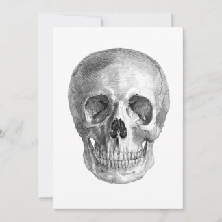 Human skull anatomy sketch drawing