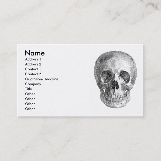 Human skull anatomy sketch drawing business card (Front)
