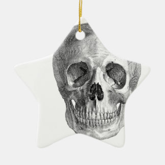 Human skull anatomy sketch drawing ceramic tree decoration