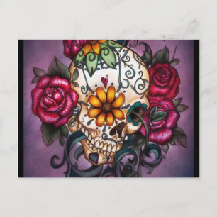 Human Skull Postcard