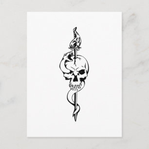 Human Skull Postcard