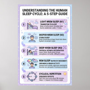 Human Sleep Cycle: A 5-Step Guide Infographic Poster
