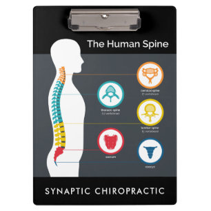Human Spine Anatomy Chart Chiropractic Clipboard