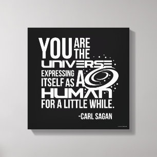 Human Universe Canvas Print