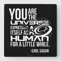 Human Universe