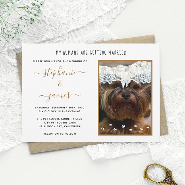 Humans Getting Married Custom Pet Photo Wedding Invitation (Creator Uploaded)