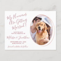 Humans Getting Married Photo Pet Wedding Rose Gold