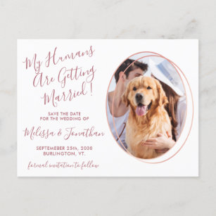 Humans Getting Married Photo Pet Wedding Rose Gold Announcement Postcard