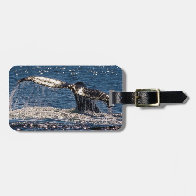 Humback Whale Luggage Tag - Tail Fluke (Front Horizontal)