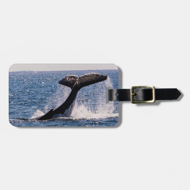 Humback Whale Luggage Tag - Tail Fluke (Front Horizontal)