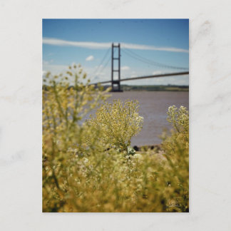Humber Bridge in the Sun [Postcard] Postcard