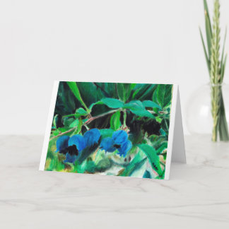 "Humboldt Blueberries" by Amber Larsen Card