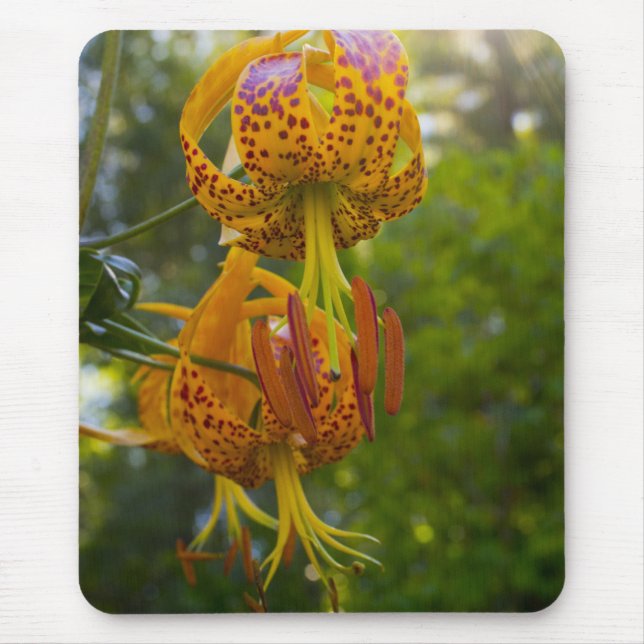 Humboldt Lilies Sunburst Mouse Pad (Front)