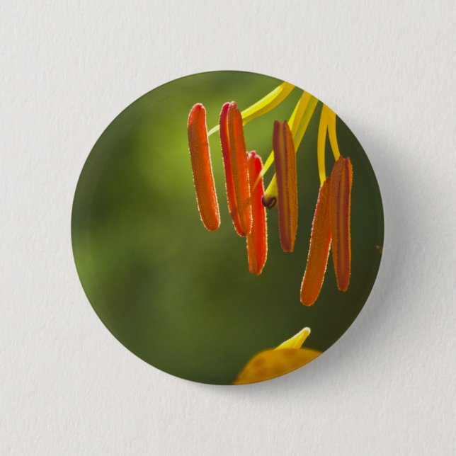Humboldt Lily Stamens 6 Cm Round Badge (Front)