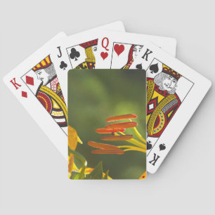 Humboldt Lily Stamens Playing Cards