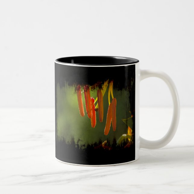 Humboldt Lily Stamens Two-Tone Coffee Mug (Right)