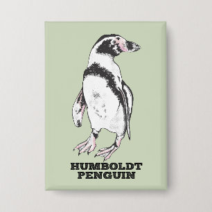 Humboldt penguin
