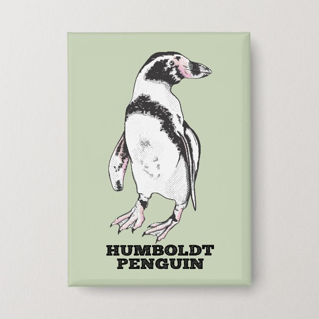 Humboldt penguin (Front)