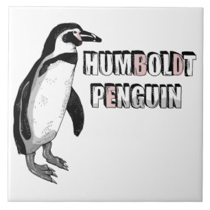 Humboldt penguin tile