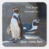Humboldt Penguins "This book belongs to" Sticker