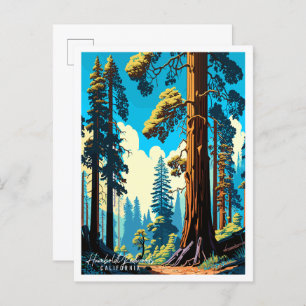 Humboldt Redwoods California USA vintage travel  Postcard