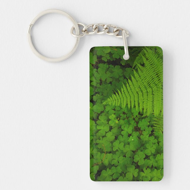 Humboldt Redwoods State Park Key Ring (Front)