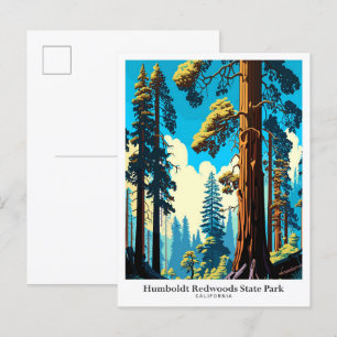 Humboldt Redwoods State Park Travel Illustration Postcard