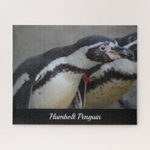 Humbolt Penguin at Drusillas Zoo in East Sussex Jigsaw Puzzle