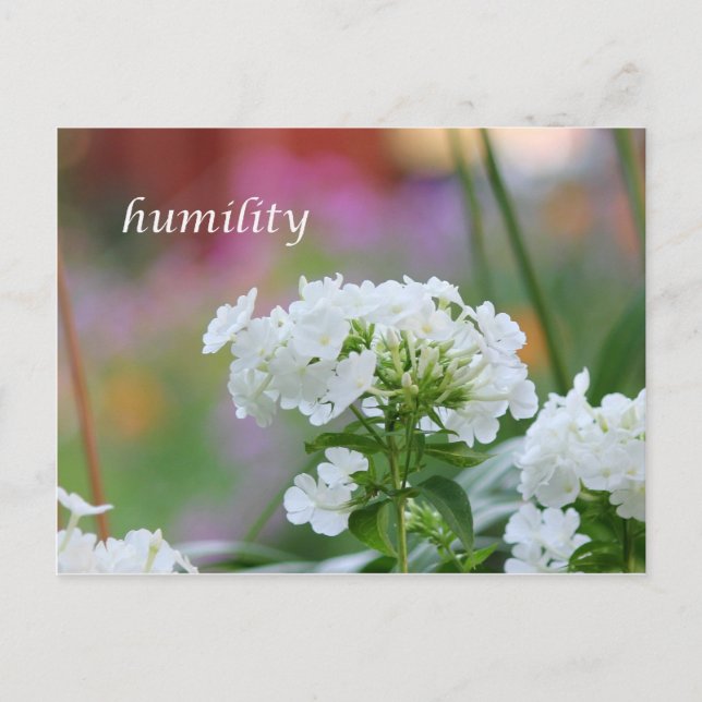 humility postcard (Front)