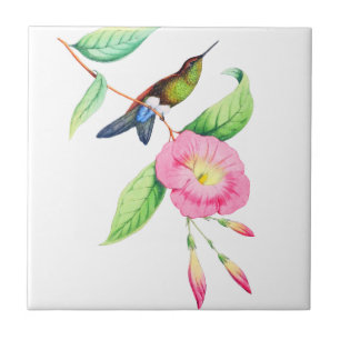 Humingbird And Hybiscus Tile