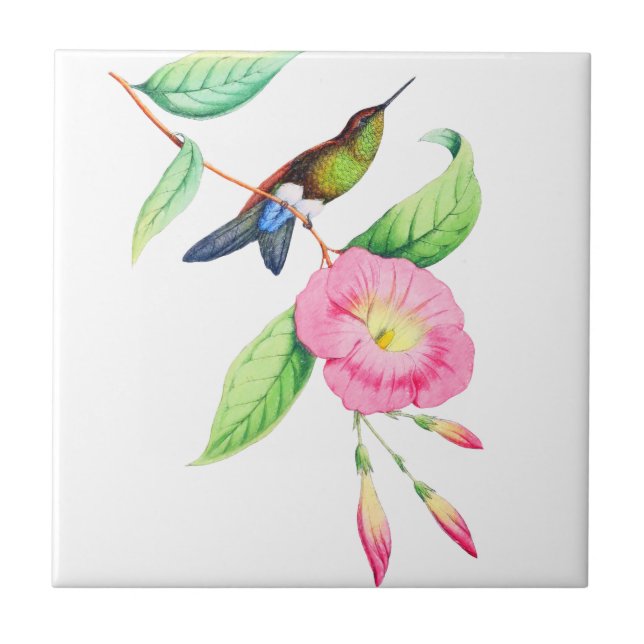 Humingbird And Hybiscus Tile (Front)