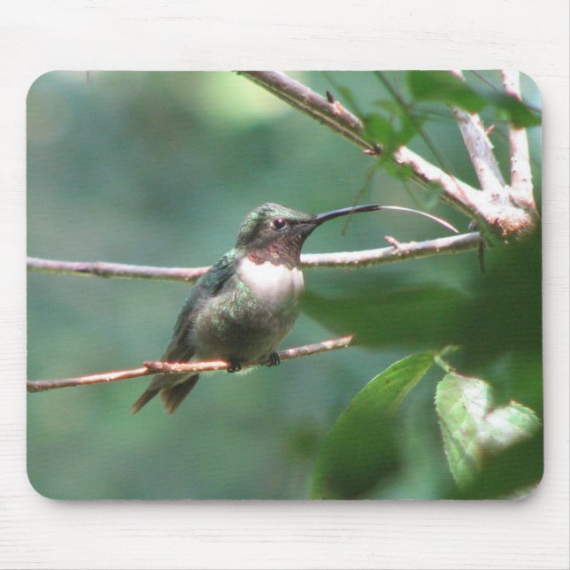 Hummer Kiss Mousepad (Front)