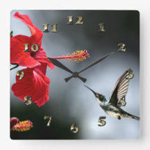Humming Bird and Red Flower