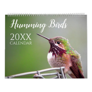 Humming Bird Calendar Nature Wildlife Photos