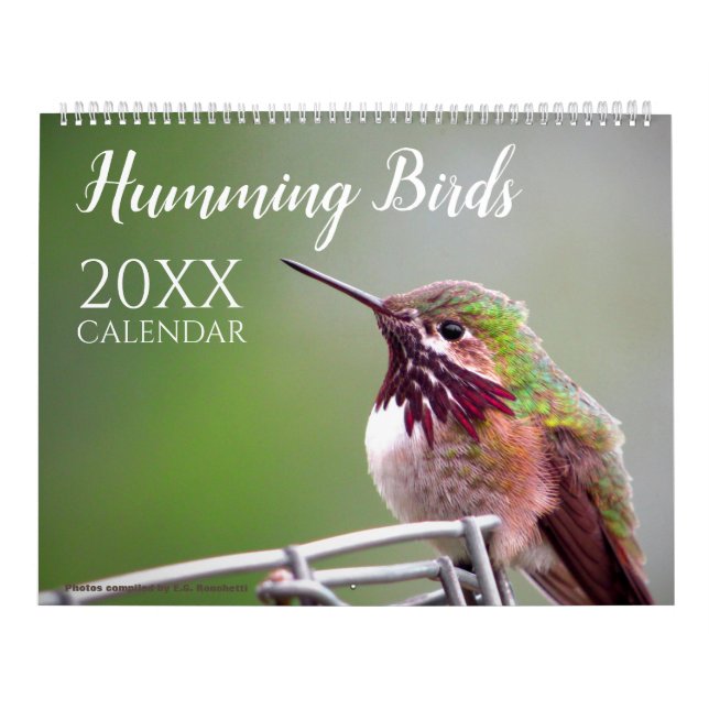 Humming Bird Calendar Nature Wildlife Photos (Cover)