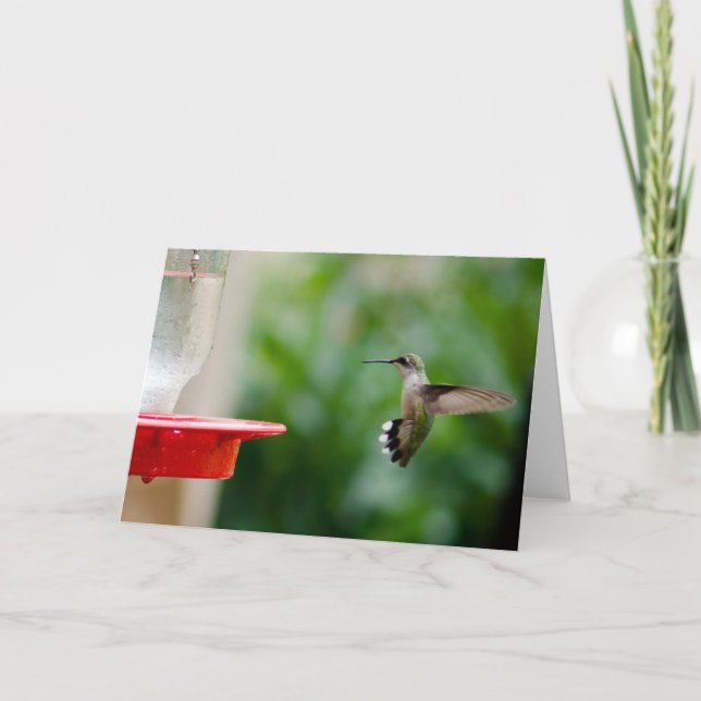 Humming bird card (Front)