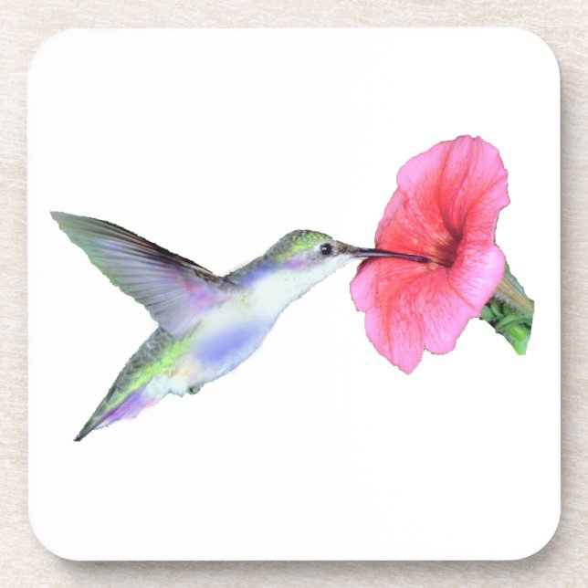 Humming Bird Cork Coaster (6) 3.8x3.8" (Front)