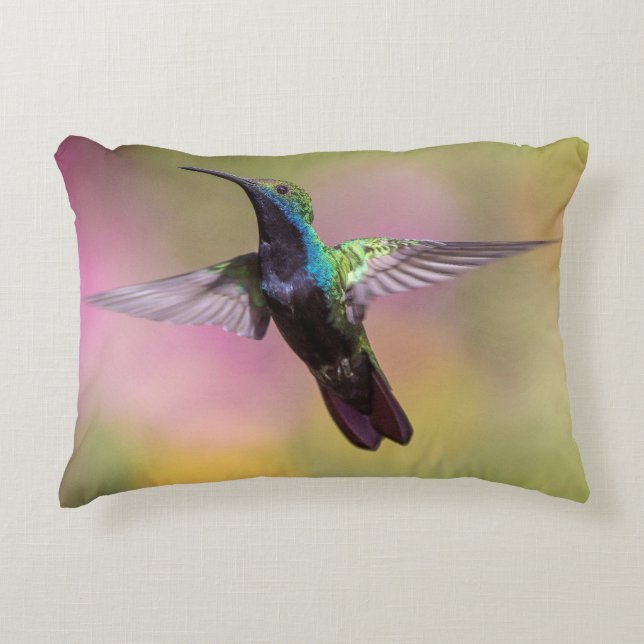 Humming Bird  Decorative Cushion (Front)