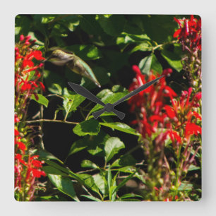 HUMMING BIRD IN NATURE Square Wall Clock