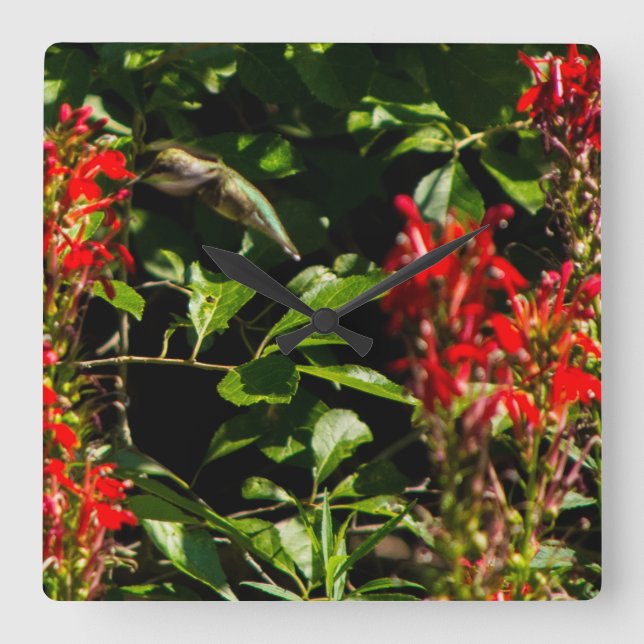 HUMMING BIRD IN NATURE Square Wall Clock (Front)