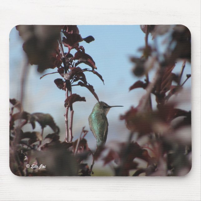Humming Bird Mouse Pad (Front)