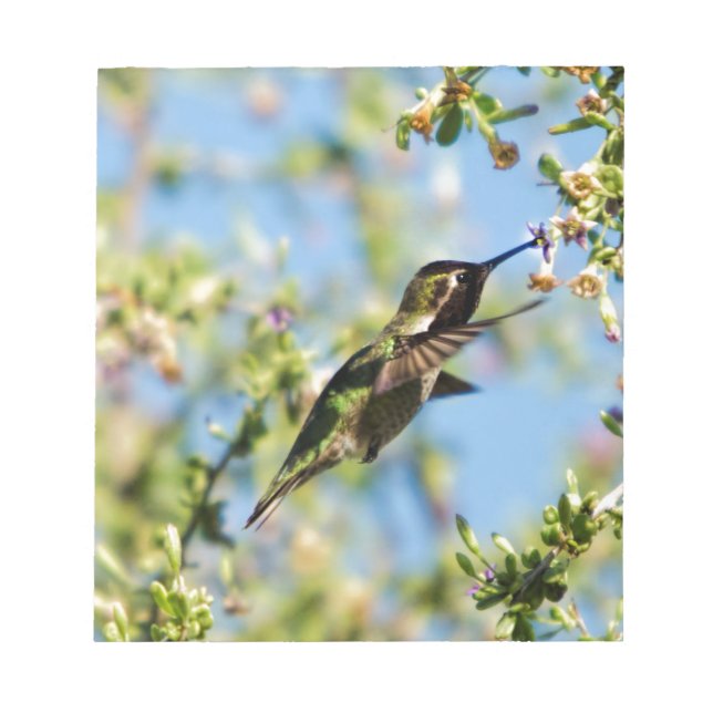 Humming Bird Notepad (Front)