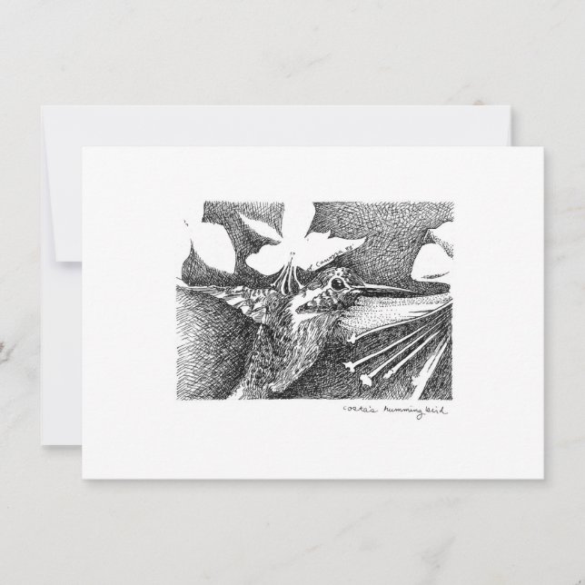 Humming Bird Pen and Ink Card (Front)